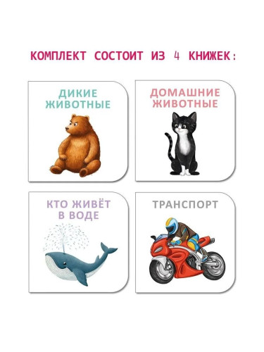 МИМИкнижки. Загадки-рифмы