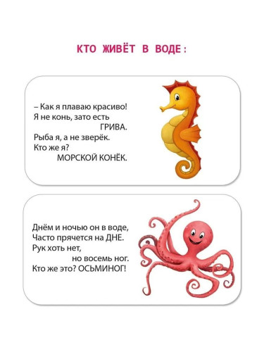 МИМИкнижки. Загадки-рифмы