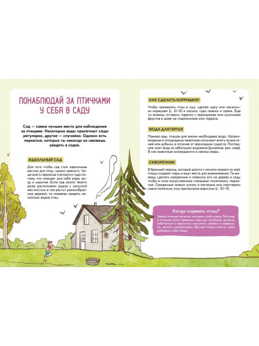 Птицы