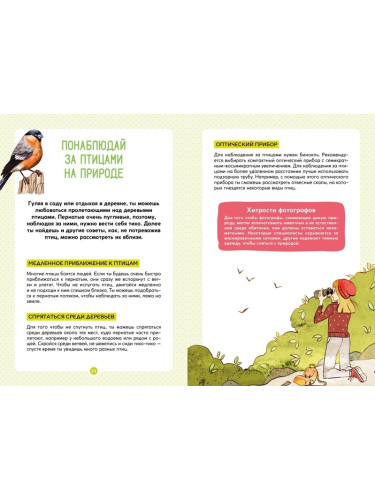 Птицы