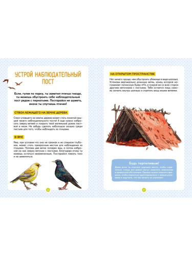 Птицы