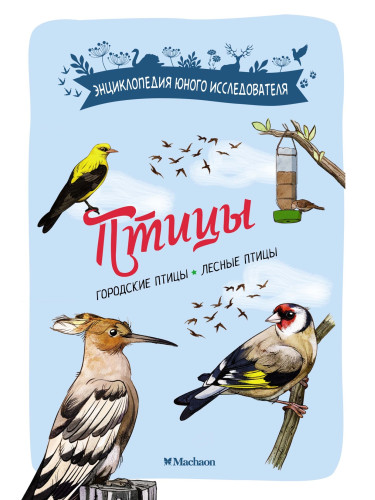 Птицы