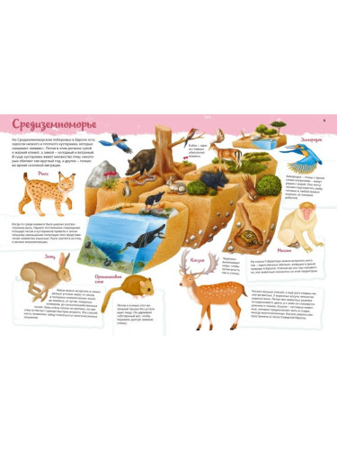 Животные. Мой первый атлас в картинках