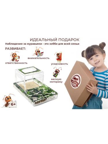 Муравьиная ферма СРЕДНЯЯ sheet (зеленая)