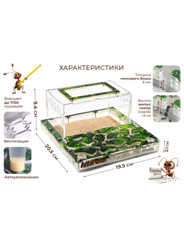 Муравьиная ферма БОЛЬШАЯ sheet (зеленая)