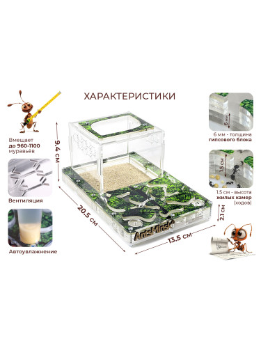 Муравьиная ферма СРЕДНЯЯ sheet (зеленая)