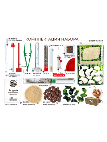 Муравьиная ферма СРЕДНЯЯ sheet (зеленая)