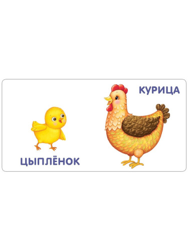 Книжки - картонки. Малыши и мамы