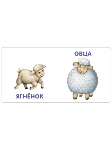 Книжки - картонки. Малыши и мамы