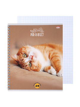 Тетрадь  48л кл. на гребне "Мурчащие котики"