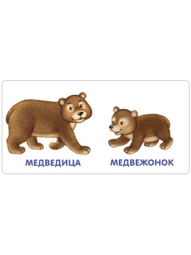 Книжки - картонки. Животные и детёныши