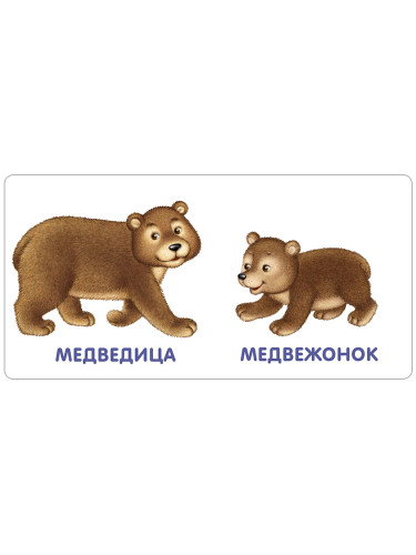 Книжки - картонки. Животные и детёныши