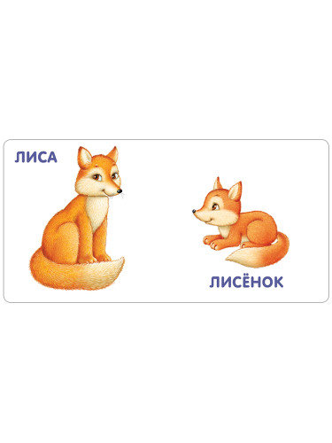 Книжки - картонки. Животные и детёныши