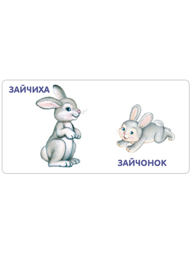 Книжки - картонки. Животные и детёныши