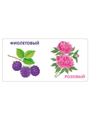 Книжки - картонки. Цвета в природе