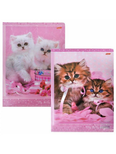 Папка уголок котики