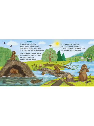 Книжки - картонки . Удивительные дома животных