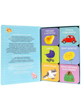 Первая книга малыша. 6 книжек - кубиков