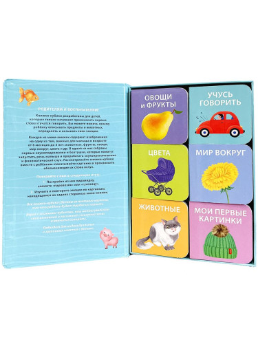 Первая книга малыша. 6 книжек - кубиков